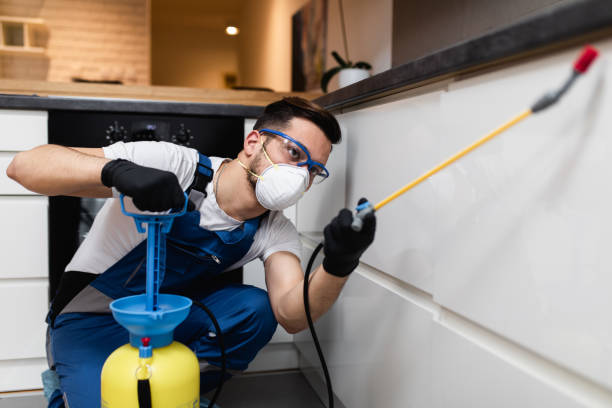 Best Wildlife Control Services  in Powhatan Point, OH
