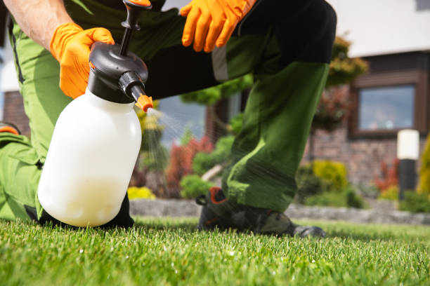 Best Pest Control for Restaurants  in Powhatan Point, OH