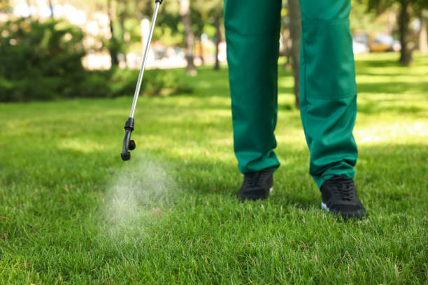 Best Residential Pest Control  in Powhatan Point, OH
