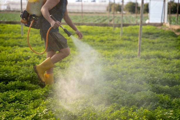 Best Commercial Pest Control Services  in Powhatan Point, OH