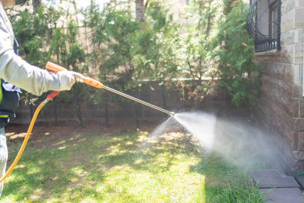 Best Mosquito Control Services  in Powhatan Point, OH