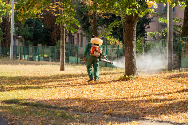 Best Pest Removal Services  in Powhatan Point, OH