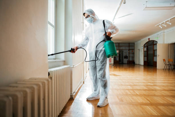 Best Pest Control for Businesses  in Powhatan Point, OH
