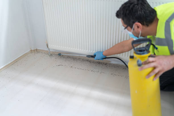 Best Pest Control Treatment  in Powhatan Point, OH